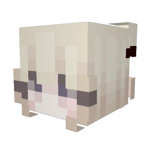 catbisou Minecraft avatar head, 3D render