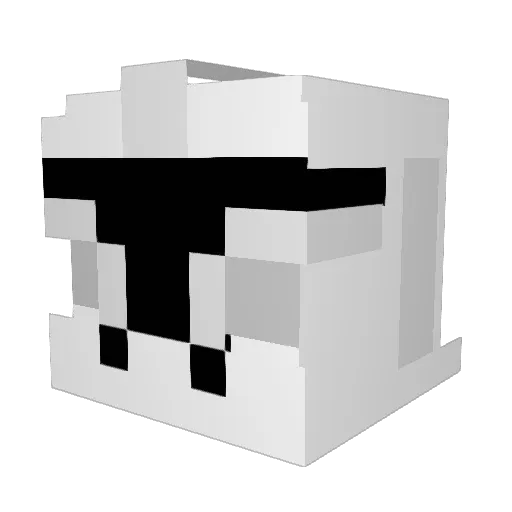 catboy2013 Minecraft avatar head, 3D render