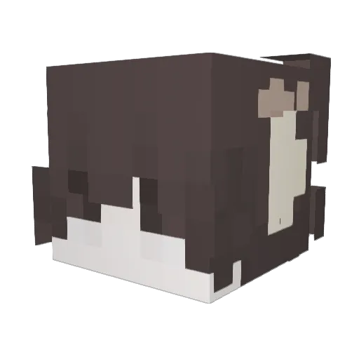 catboy44 Minecraft avatar head, 3D render