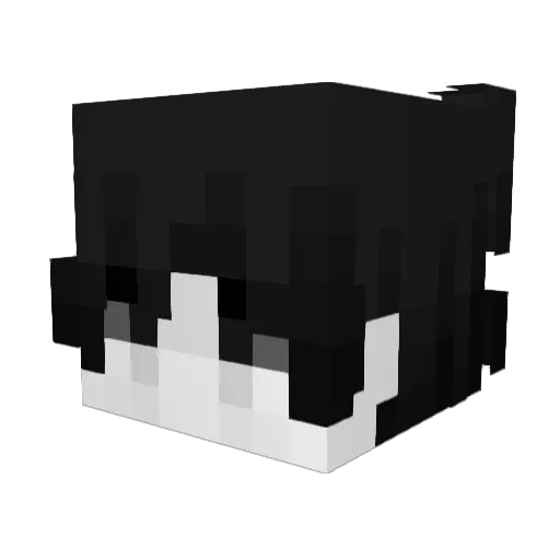 catboy72 Minecraft avatar head, 3D render