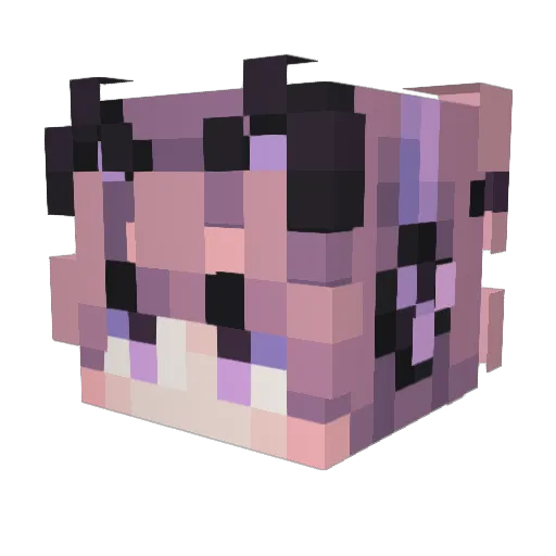 catboyeepy Minecraft avatar head, 3D render