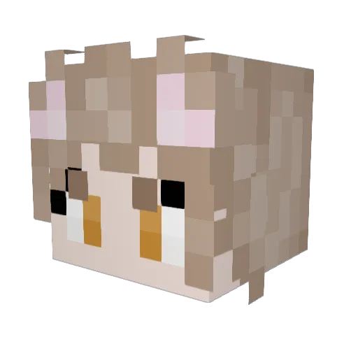 catboyfricker Minecraft avatar head, 3D render
