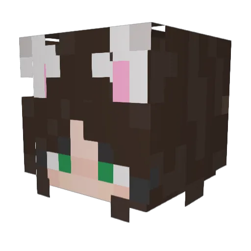 catboykatie Minecraft avatar head, 3D render