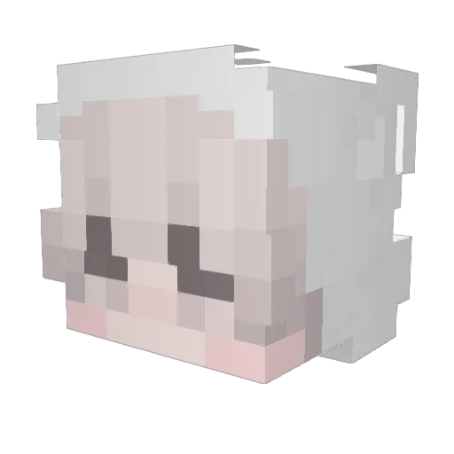 catboyonr0ids Minecraft avatar head, 3D render
