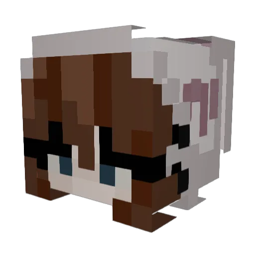 catboypee Minecraft avatar head, 3D render