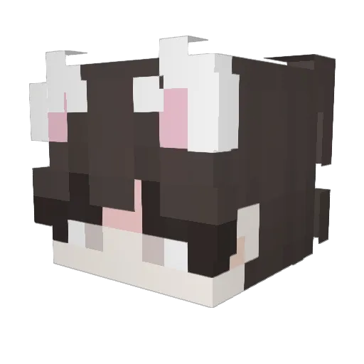 catboyswift Minecraft avatar head, 3D render