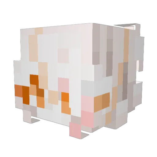 catboyvici Minecraft avatar head, 3D render