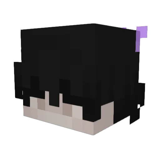 catboyytwink Minecraft avatar head, 3D render