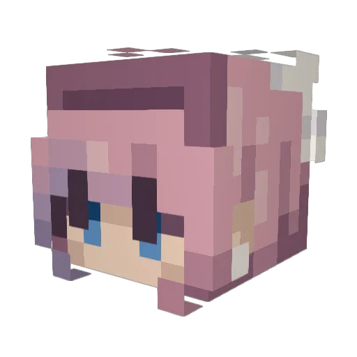 catbuglovesyou Minecraft avatar head, 3D render