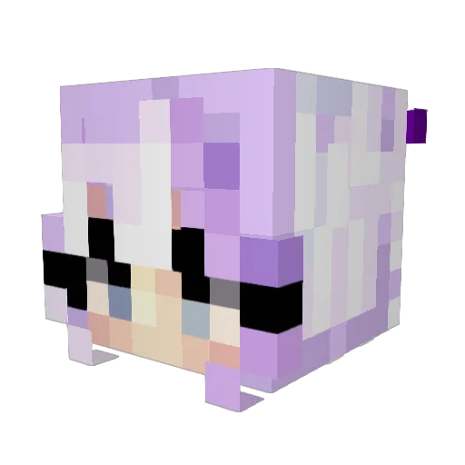catchestra Minecraft avatar head, 3D render