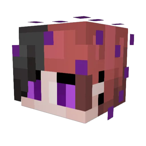catchmxifyoucan Minecraft avatar head, 3D render