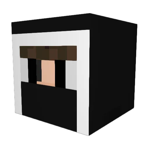 catchyyboi Minecraft avatar head, 3D render
