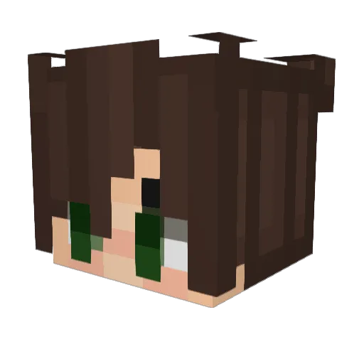 catcrossing Minecraft avatar head, 3D render