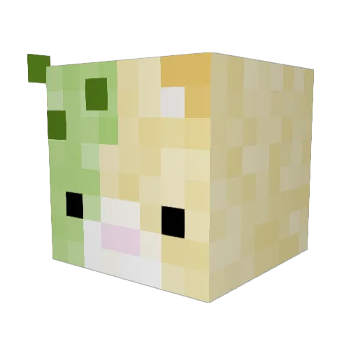 catcusss Minecraft avatar head, 3D render