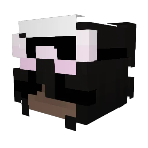 catdokokoro Minecraft avatar head, 3D render