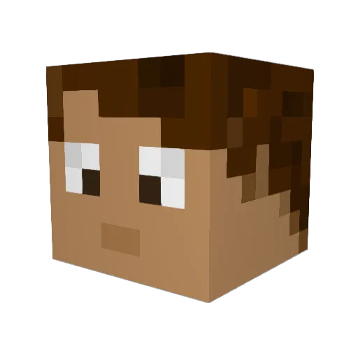 catfan809 Minecraft avatar head, 3D render