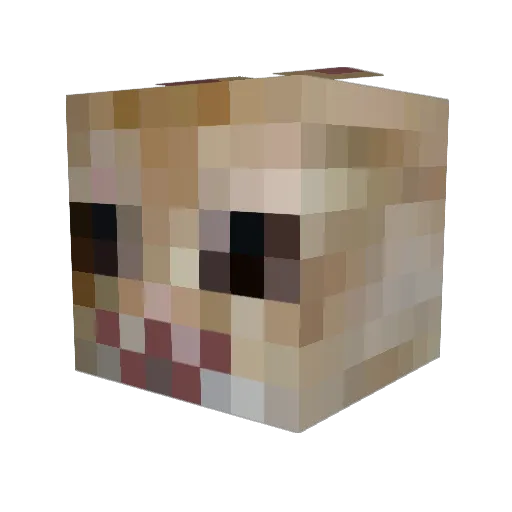 catfish6_9 Minecraft avatar head, 3D render