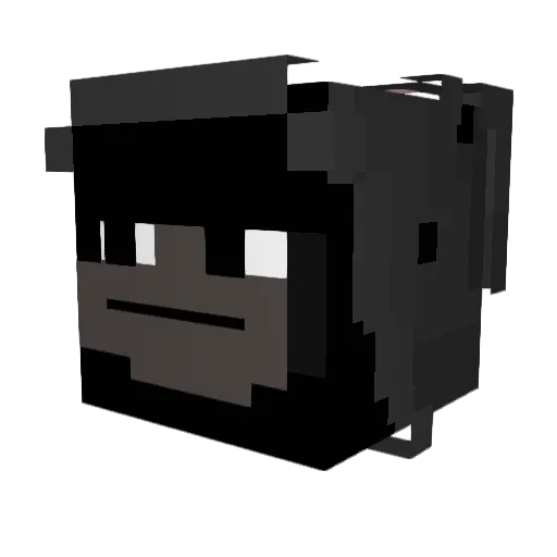 catfishdaddy123 Minecraft avatar head, 3D render