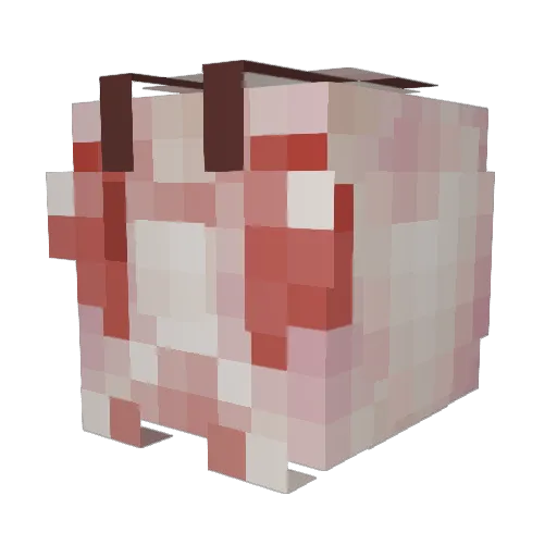 catgills Minecraft avatar head, 3D render