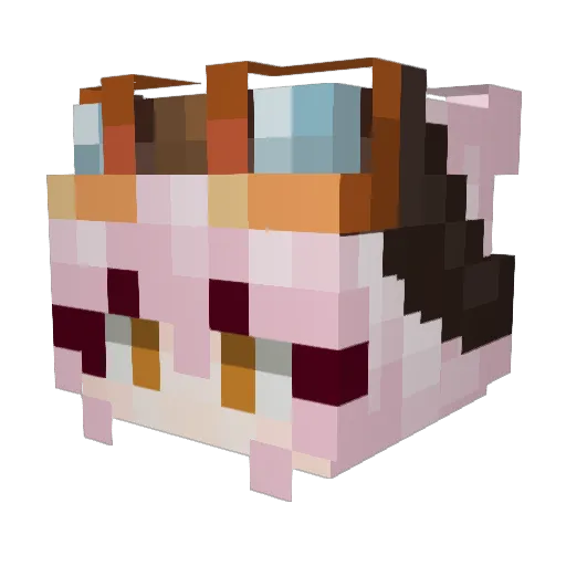 catgirldawn Minecraft avatar head, 3D render
