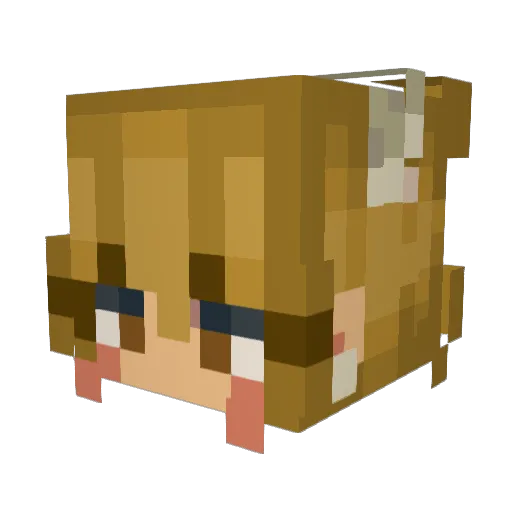 catgreens2 Minecraft avatar head, 3D render