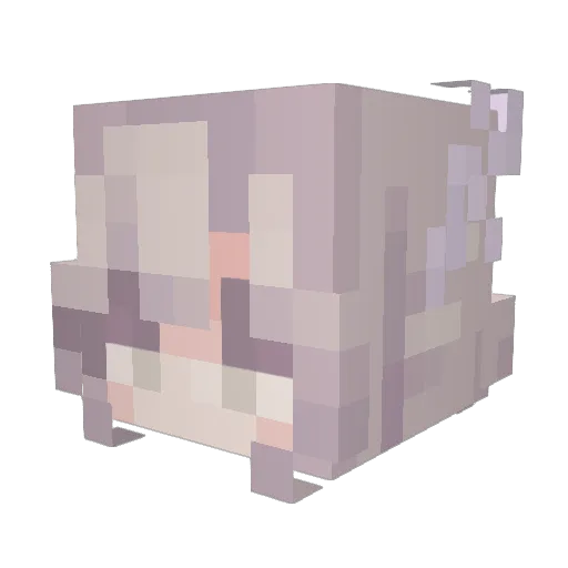catharinaax Minecraft avatar head, 3D render