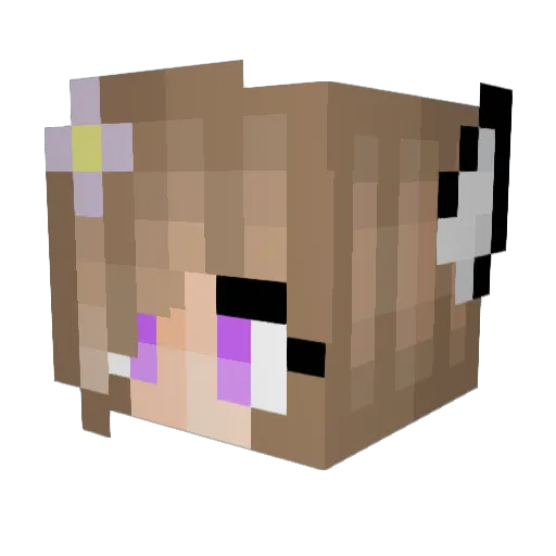 cathy304 Minecraft avatar head, 3D render