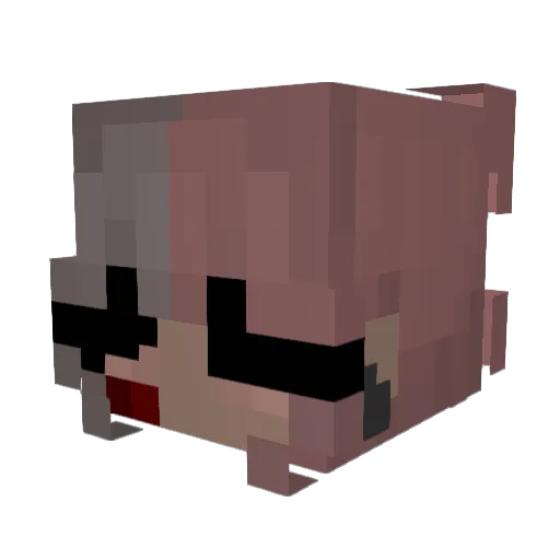 cathycatt Minecraft avatar head, 3D render