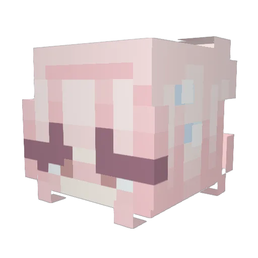 catiscool420 Minecraft avatar head, 3D render