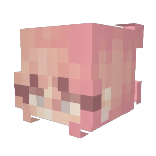 catixiia Minecraft avatar head, 3D render