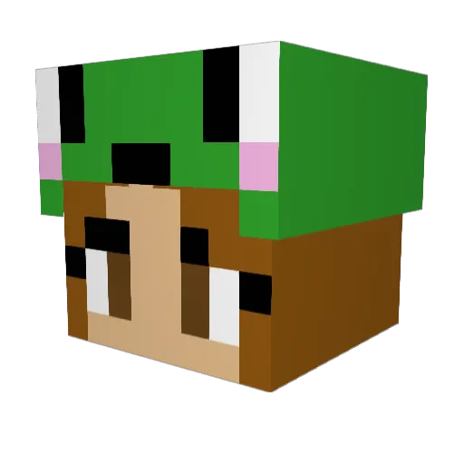 catladyluver Minecraft avatar head, 3D render