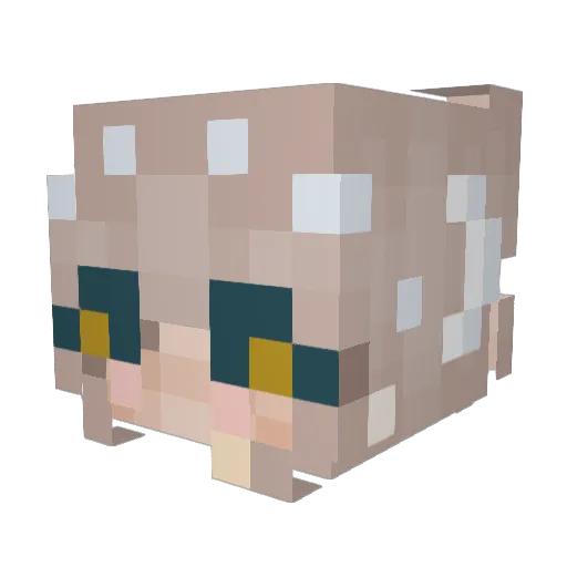 catlife19 Minecraft avatar head, 3D render