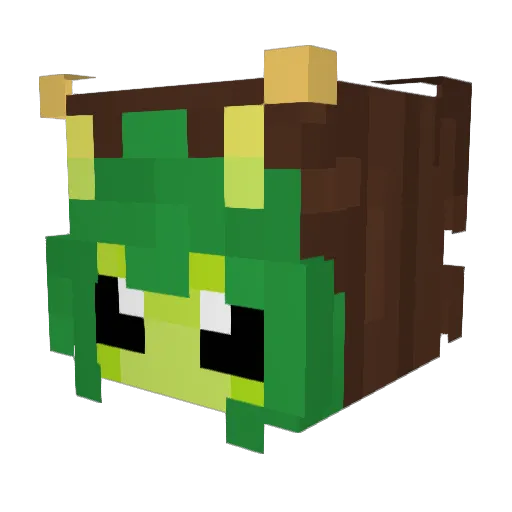 catlikeTadpole Minecraft avatar head, 3D render