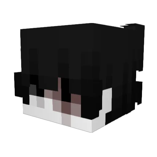 catll Minecraft avatar head, 3D render