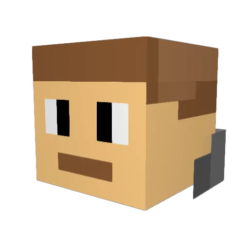 catlove52 Minecraft avatar head, 3D render