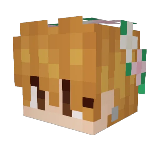 catlover0325 Minecraft avatar head, 3D render