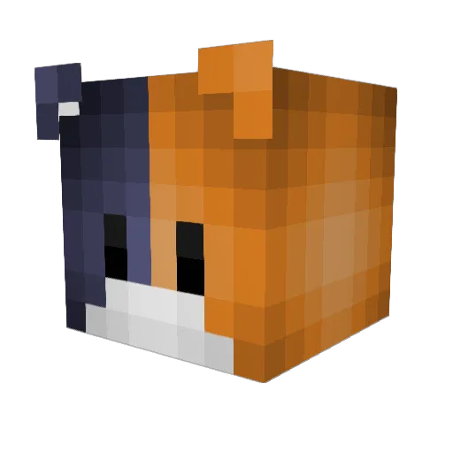 catlover45 Minecraft avatar head, 3D render