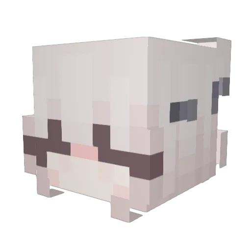 catluvr469 Minecraft avatar head, 3D render