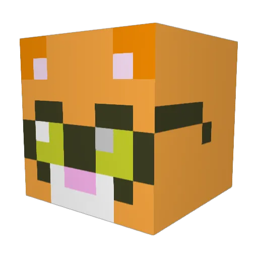 catman2000 Minecraft avatar head, 3D render