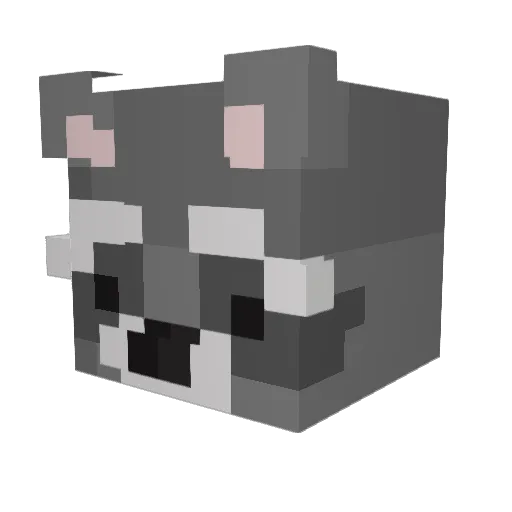 catmanandfrends Minecraft avatar head, 3D render