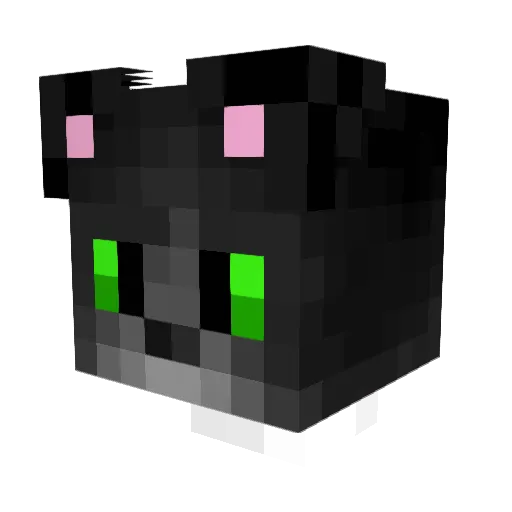 catmando00 Minecraft avatar head, 3D render