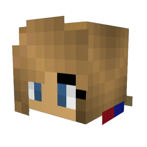 catmaster16 Minecraft avatar head, 3D render