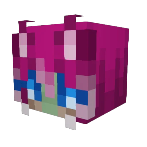 catmeoww_ Minecraft avatar head, 3D render