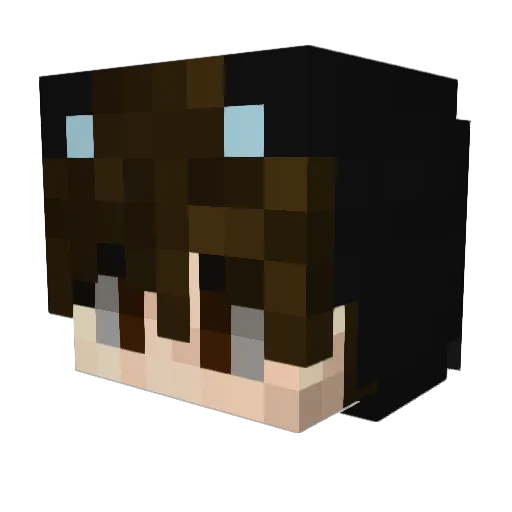 catmer15 Minecraft avatar head, 3D render