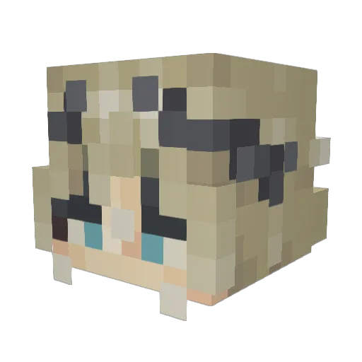 catmucnher Minecraft avatar head, 3D render
