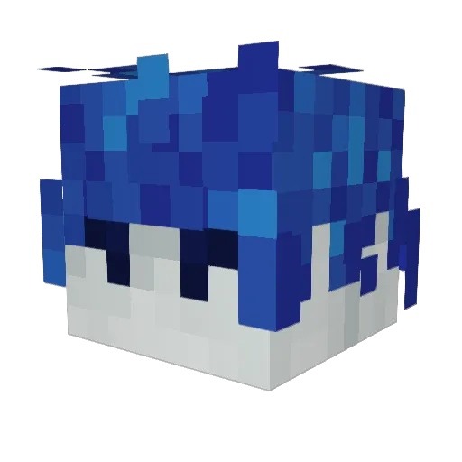 catnap321 Minecraft avatar head, 3D render