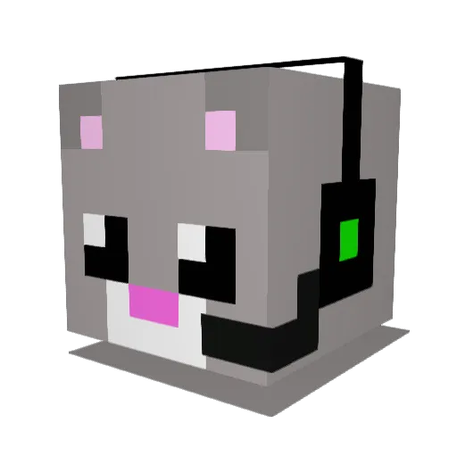 catnayn Minecraft avatar head, 3D render