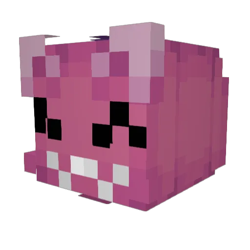 catnipAlchemist Minecraft avatar head, 3D render