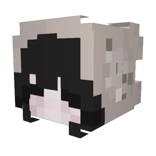 catnoos Minecraft avatar head, 3D render