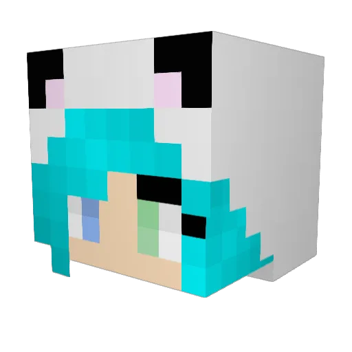 catnunn Minecraft avatar head, 3D render